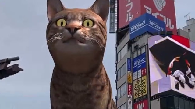 新宿東口の猫の前を歩く猫